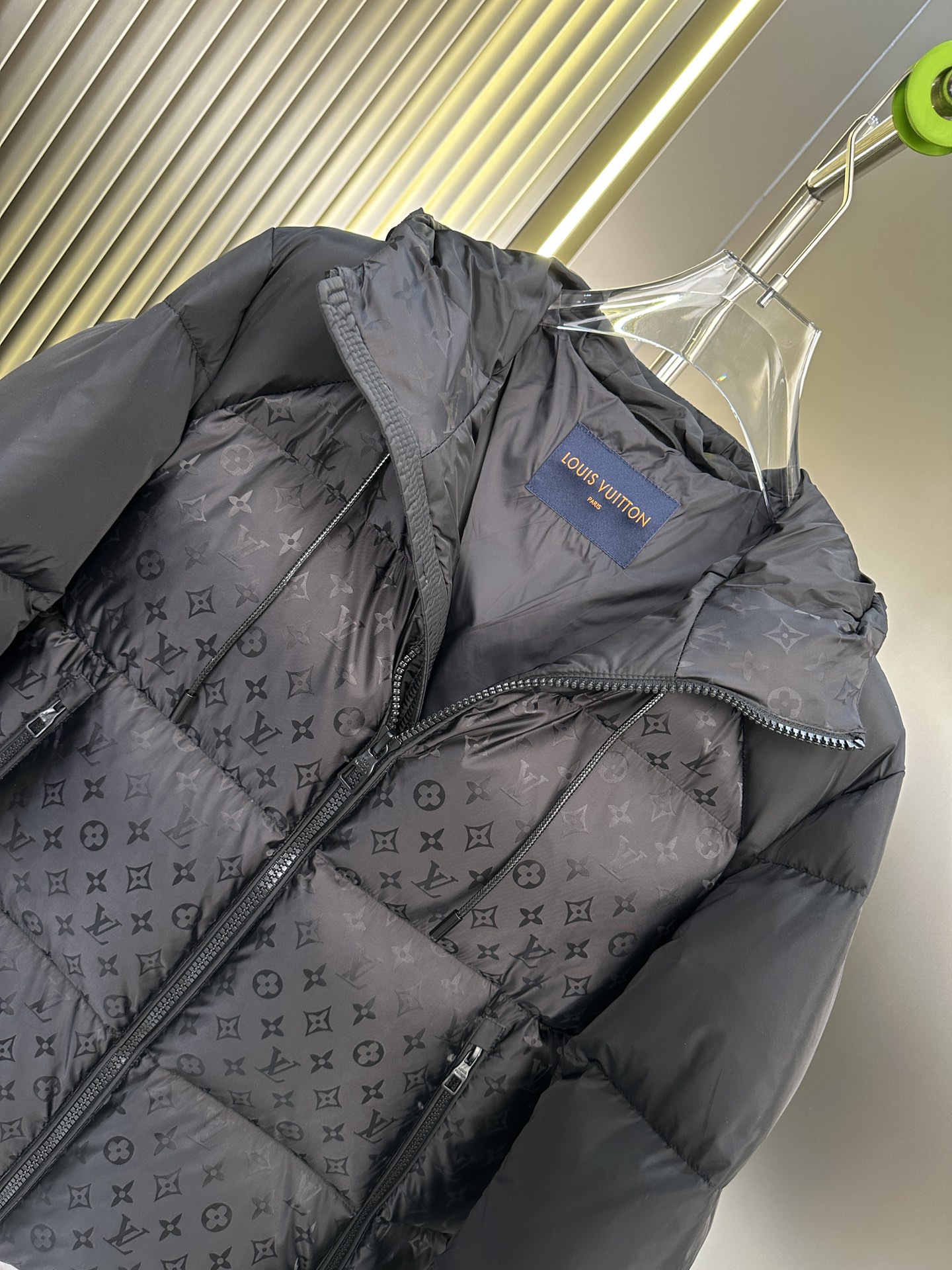 Louis Vuitton Down Jackets